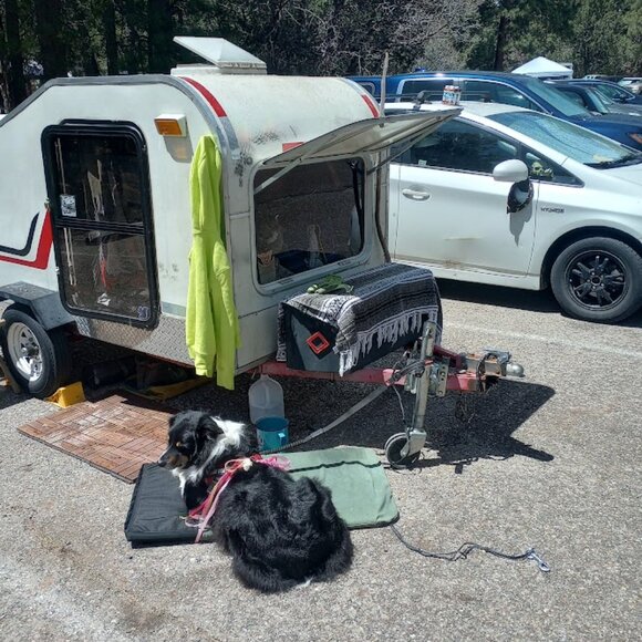 Meet your Posher, Diana - Picture 2 of 8